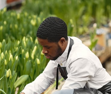 Gardener watering a flower bed
