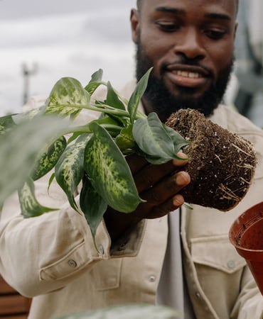 Garden Caring