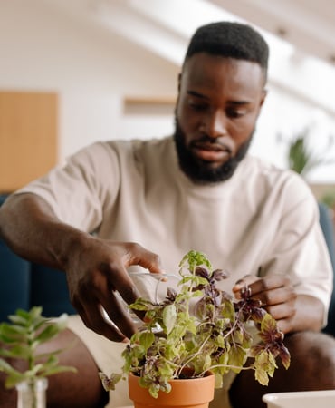 Garden Caring