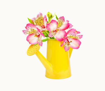 Narcissus Flower Watering Can Arrangement