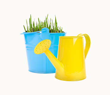 Bucket with Grass and One Water Can