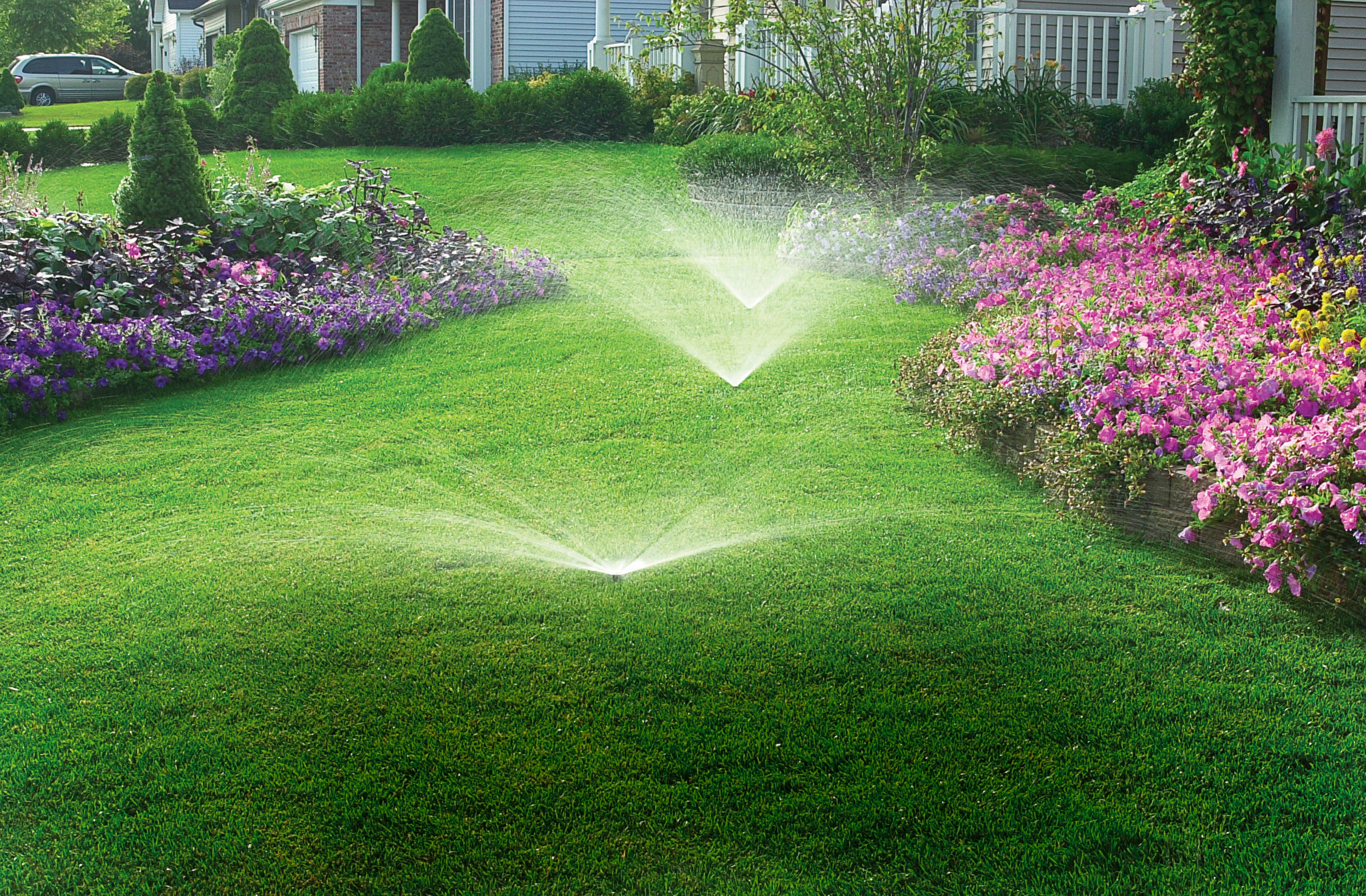 Lawn Installation & Care