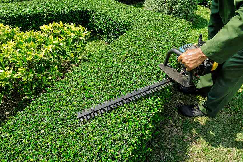 Maintenance Services